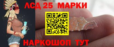 2c-b Камышлов