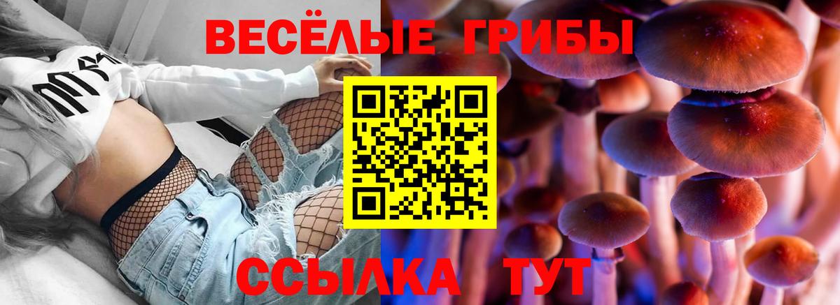 Галлюциногенные грибы Psilocybine cubensis  Вход с VPN  Галлюциногенные грибы Psilocybe  Красноуфимск 