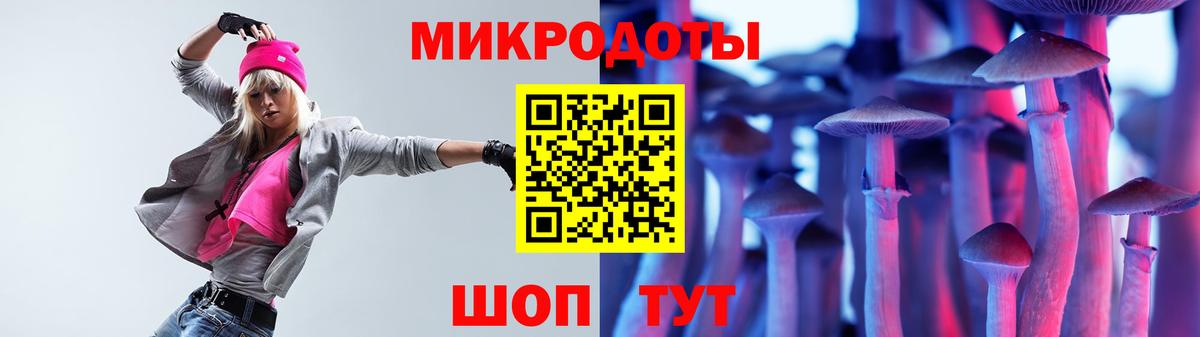Псилоцибиновые грибы Psilocybe Красноуфимск